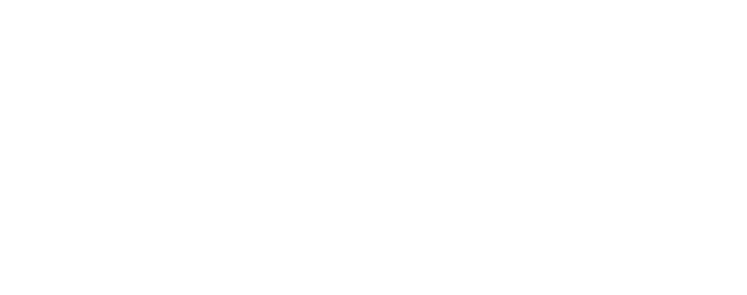 Partner 3